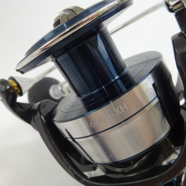21セルテートSW 6000-XH